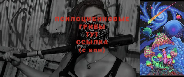 spice Надым