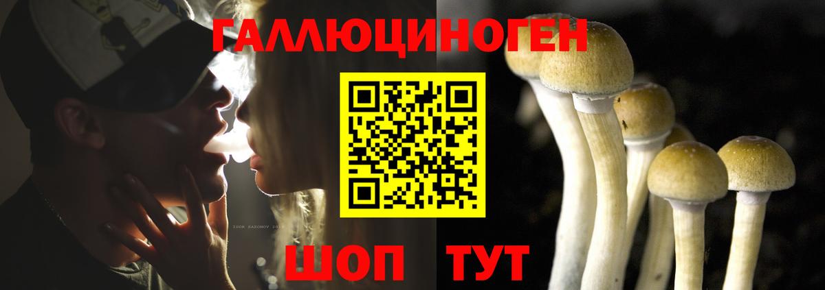 Псилоцибиновые грибы MAGIC MUSHROOMS  Тольятти 