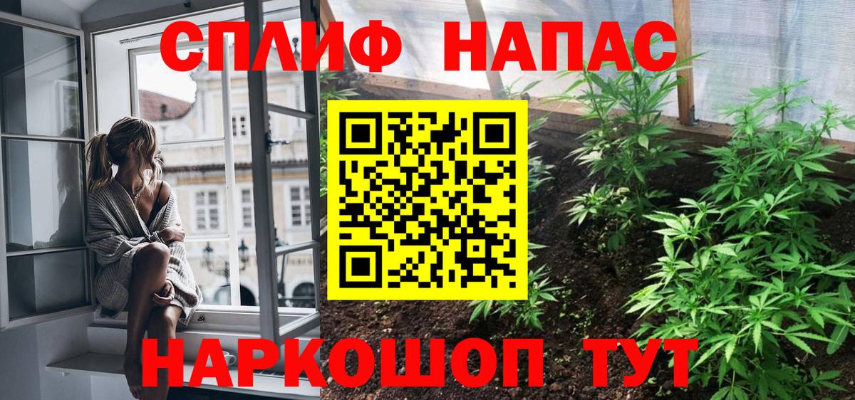 Конопля ГИДРОПОН Тольятти